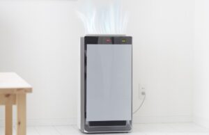 Buying an Air Purifier? Here’s All There Is to Know