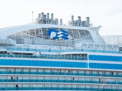 Luxury Experiences Aboard the Top Cruise Liners